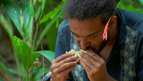 Survivor S47E09 Nightmare Fuel 1080p AMZN WEB-DL DDP5 1 H 264-Kitsune EZTV