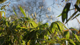 Susan Calmans Grand Day Out S07E08 1080p HDTV H264-DARKFLiX EZTV