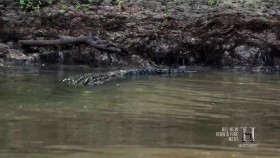 Swamp People S07E13 End of the Line 720p HDTV x264-DHD EZTV