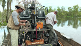 Swamp People S16E02 1080p HEVC x265-MeGusta EZTV