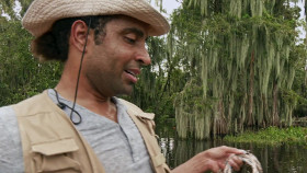 Swamp People S16E02 1080p WEB h264-EDITH EZTV