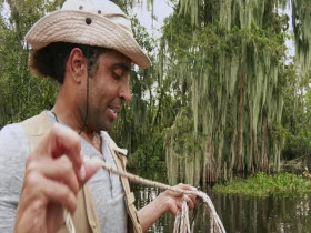 Swamp People S16E02 480p x264-mSD EZTV