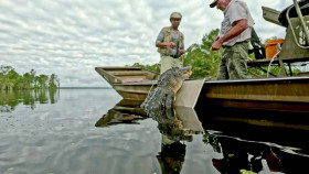 Swamp People S16E02 XviD-AFG EZTV