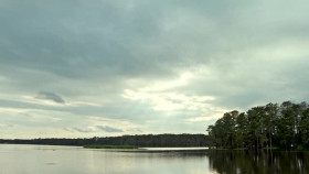 Swamp People S16E03 XviD-AFG EZTV