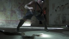 Swamp People Serpent Invasion S02E06 720p WEB h264-BAE EZTV