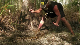 Swamp People Serpent Invasion S03E11 XviD-AFG EZTV