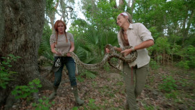 Swamp People Serpent Invasion S04E04 1080p WEB h264-EDITH EZTV