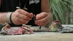 Swamp People Serpent Invasion S04E14 XviD-AFG EZTV