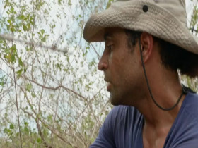 Swamp People Serpent Invasion S05E04 480p x264-mSD EZTV