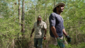 Swamp People Serpent Invasion S05E05 1080p WEB h264-EDITH EZTV