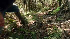 Swamp People Serpent Invasion S05E06 720p HEVC x265-MeGusta EZTV