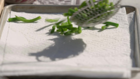 Symons Dinners Cooking Out S06E04 1080p WEB h264-FREQUENCY EZTV