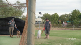 Take Me Home 2022 S02E04 1080p HEVC x265-MeGusta EZTV