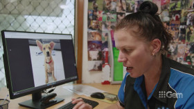 Take Me Home 2022 S02E05 1080p HEVC x265-MeGusta EZTV