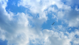 Tales Of Zestiria The X S01E23 1080p WEB H264-SKYANiME EZTV