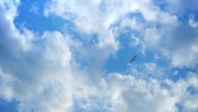 Tales Of Zestiria The X S01E23 720p WEB H264-SKYANiME EZTV