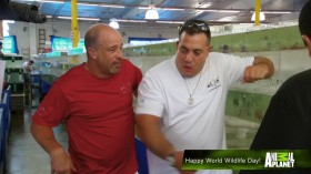 Tanked S03E13 Just What The Doctor Ordered 720p HDTV x264-W4F EZTV
