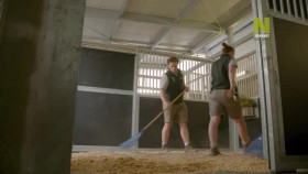 Taronga-Whos Who In The Zoo S02E07 XviD-AFG EZTV