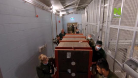 Taronga-Whos Who In The Zoo S02E08 XviD-AFG EZTV