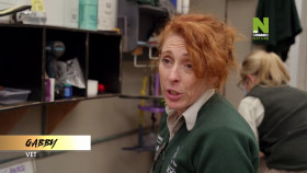 Taronga-Whos Who In The Zoo S02E15 1080p HEVC x265-MeGusta EZTV