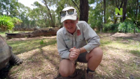 Taronga-Whos Who In The Zoo S02E16 XviD-AFG EZTV