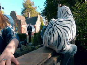 Taskmaster S14E08 The One That Bats Do 480p x264-mSD EZTV