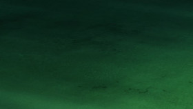 Tasuketsu Fate of the Majority S01E09 1080p HEVC x265-MeGusta EZTV