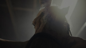 Teacup S01E01 Think About the Bubbles 1080p WEBRip HDR10 10Bit DDP5 1 HEVC-d3g EZTV