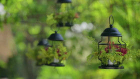 Teen Mom Family Reunion S03E12 1080p HEVC x265-MeGusta EZTV