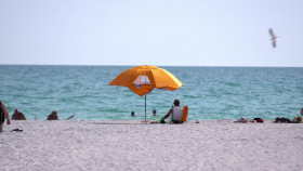 Teen Mom The Next Chapter S02E12 1080p HEVC x265-MeGusta EZTV