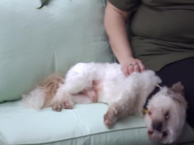 Teen Mom The Next Chapter S02E13 480p x264-mSD EZTV