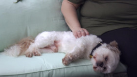 Teen Mom The Next Chapter S02E13 720p WEB h264-EDITH EZTV