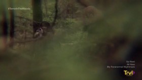 Terror In The Woods S02E03 Monster In My Backyard and The Abandoned House HDTV x264-CRiMSON EZTV
