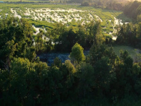 The 1619 Project S01E02 480p x264-mSD EZTV