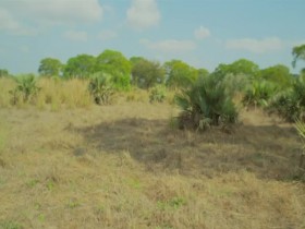 The Age of Nature S01E01 480p x264-mSD EZTV