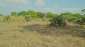 The Age of Nature S01E01 Awakening HDTV x264-25FPS EZTV