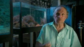 The Age of Nature S01E03 1080p WEB h264-BAE EZTV