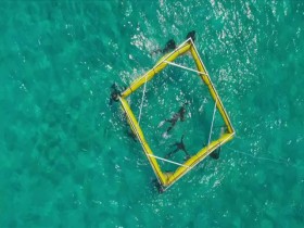 The Age of Nature S01E03 480p x264-mSD EZTV