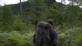 The Alaska Triangle S02E03 Bigfoot Island XviD-AFG EZTV