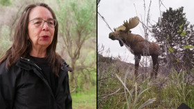 The Amazing Race Canada S10E04 720p WEB h264-BAE EZTV