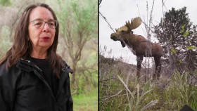 The Amazing Race Canada S10E04 XviD-AFG EZTV