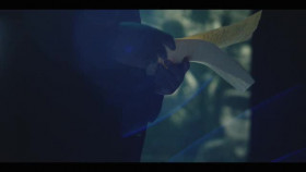 The American Presidency with Bill Clinton S01E04 XviD-AFG EZTV