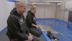 The Aquarium S01E08 Baby Otter Rescue 720p WEBRip x264-CAFFEiNE EZTV
