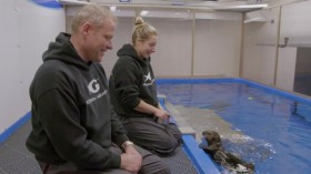The Aquarium S01E08 Baby Otter Rescue WEBRip x264-CAFFEiNE EZTV