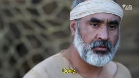 The Ascent Of Civilization S02E01 XviD-AFG EZTV