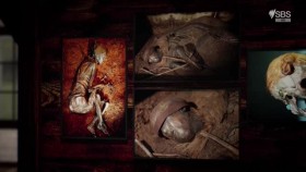The Ascent Of Civilization S02E02 XviD-AFG EZTV