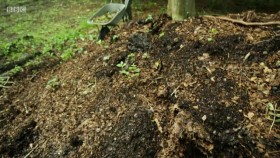 The Beechgrove Garden S42E17 XviD-AFG EZTV