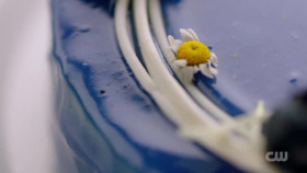 The Big Bakeover S01E05 XviD-AFG EZTV