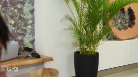 The Big D S01E03 1080p WEB h264-EDITH EZTV