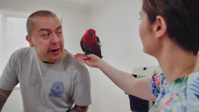 The Bizarre Pet Vets S01 1080p STAN WEBRip AAC2 0 x264-squalor EZTV